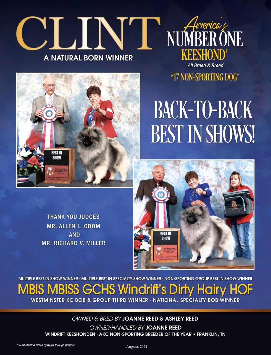 Show Ad