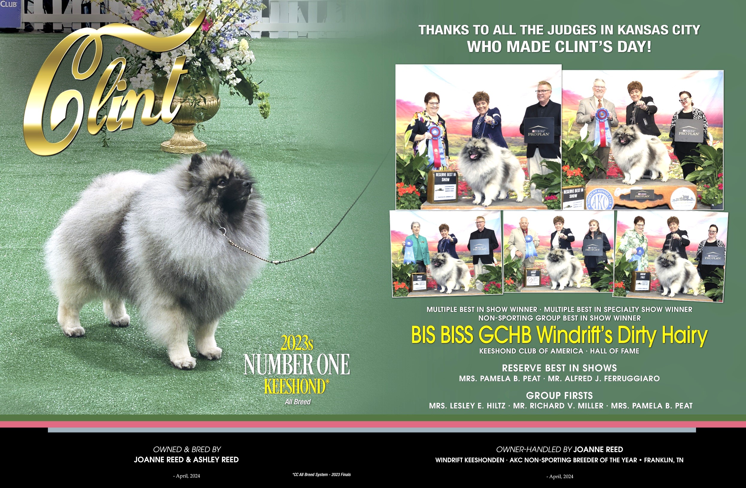 Show Ad