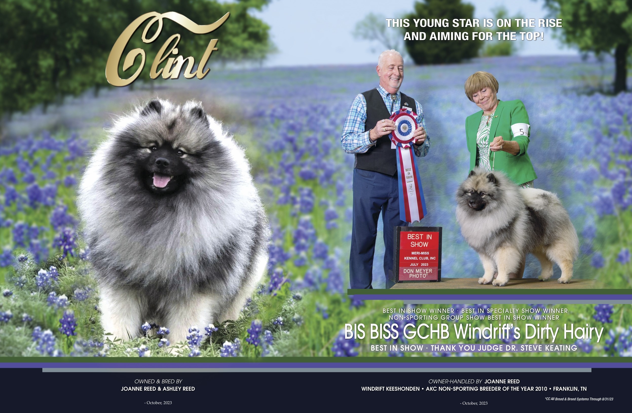 Show Ad